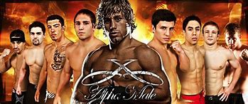 Image result for Team Alpha Male