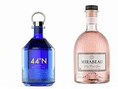 Image result for French Gin Brands