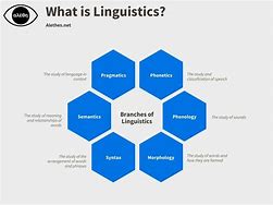 Image result for Areas of Linguistics