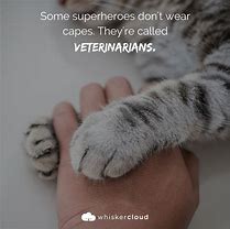 Image result for Veterinary Quotes