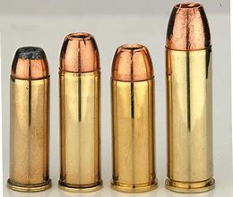 Image result for 500 Magnum Bullet