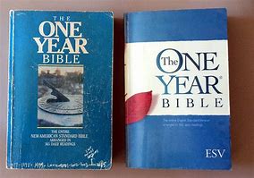 Image result for Bible in a Year Old and New Testament