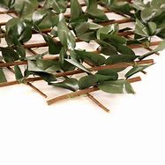 Image result for Artificial Ivy Willow Fence