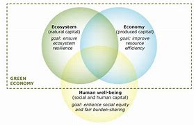 Image result for Economic Ecosystem