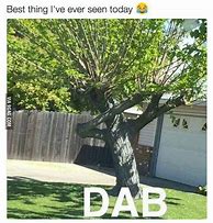 Image result for Dabbing Tree