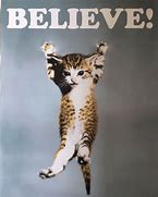 Image result for Believe Cat Meme