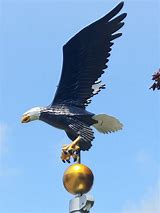 Image result for Phoenix Eagle On a American Flag Pole
