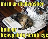 Image result for Dishwasher and Wife Meme