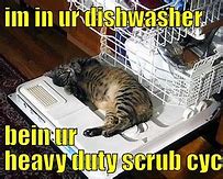 Image result for Loading Your Buddies Dishwasher Meme