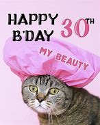 Image result for 30 Happy Birthday Quotes Funny