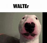 Image result for Walter Dog GIF