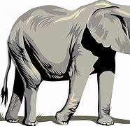 Image result for Cartoon Elephant Clip Art Free