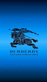 Image result for Burberry Trademark Plaid