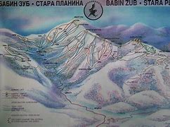 Image result for Tara Planina
