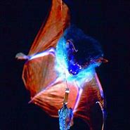 Image result for Bat-Eating Moth Pic