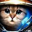Image result for Cat Cone Astronaut
