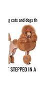 Image result for Super Funny Dog Jokes