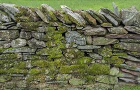 Image result for Stone Wall Texture with Moss