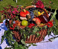 Image result for Harvest Fruit Basket