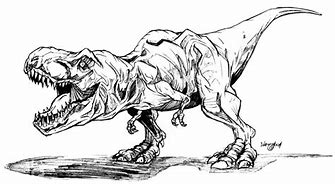 Image result for Tyrannosaurus Rex Jurassic Park Dinosaurs