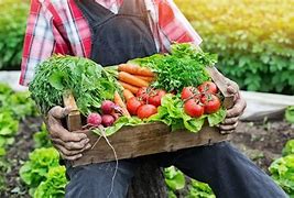 Image result for agriculrura