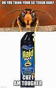 Image result for Raid Bugs Meme