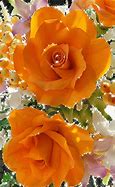 Image result for Pretty Rose iPhone Wallpaper