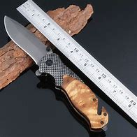 Image result for Folding Hunting Knife