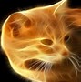 Image result for Psycobelic Cat Walpaper