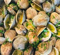 Image result for Fresh Clams