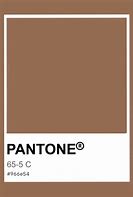 Image result for Skin Tone Brown Pantone