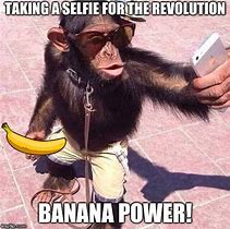 Image result for Banana Flash Meme