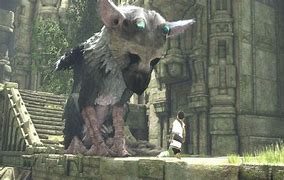 Image result for acyinom�trico