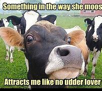 Image result for Cow On a Plow Meme