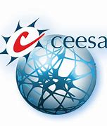 Image result for ceesa
