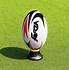 Image result for Rugby Kicking Tee