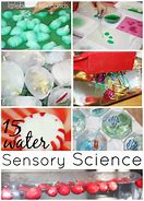 Image result for Science and Sensory Items