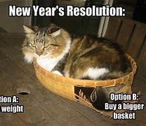 Image result for Funny Happy New Year's