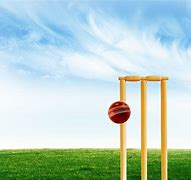 Image result for Cricket Backgrounds Stumps and Ball