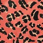 Image result for Cheetah Print Desktop Wallpaper