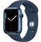 Image result for Apple Watch Series 3 Colors