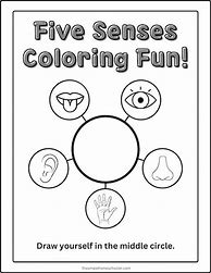 Image result for Five Senses and Brain