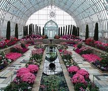 Image result for Ontario Conservatory Park 4K Image