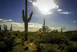 Image result for Arizona City Drawing