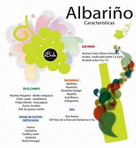 Image result for albafino