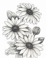 Image result for Drawings of Flowers Easy to Trace