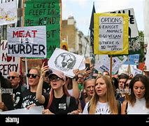 Image result for Vegan Protesters