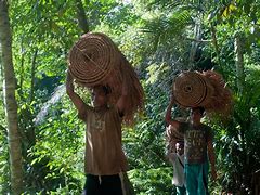 Image result for Indonesia Local People