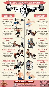 Image result for Men Workout Plan to Build Muscle