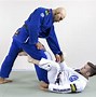 Image result for Jiu Jitsu Triangle Choke